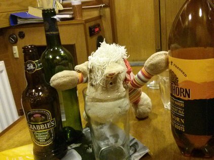 Pferdi schaut zu tief ins Glas